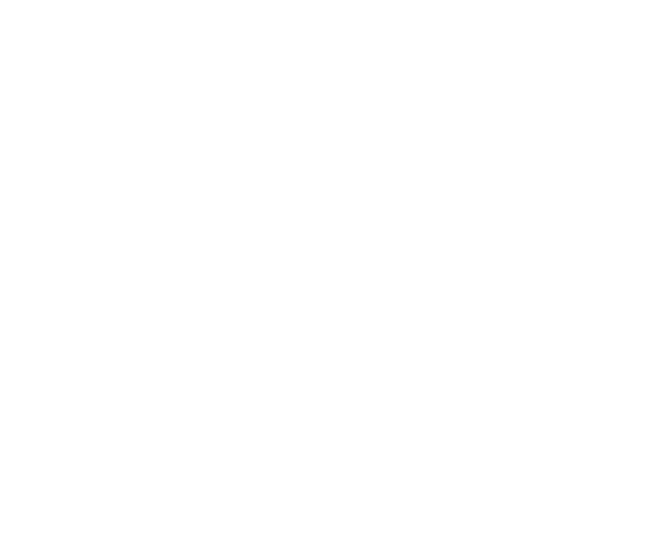 Twitter Logo Schlüsseldienst Neumünster